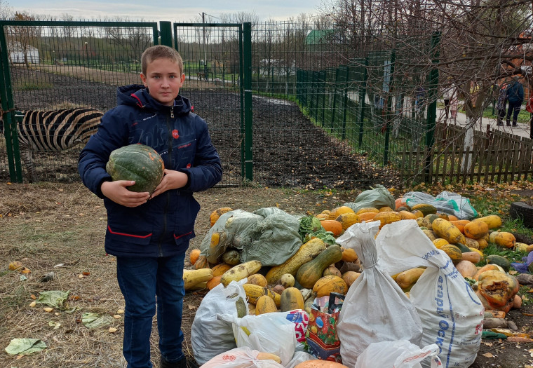 Большая помощь маленькому другу.