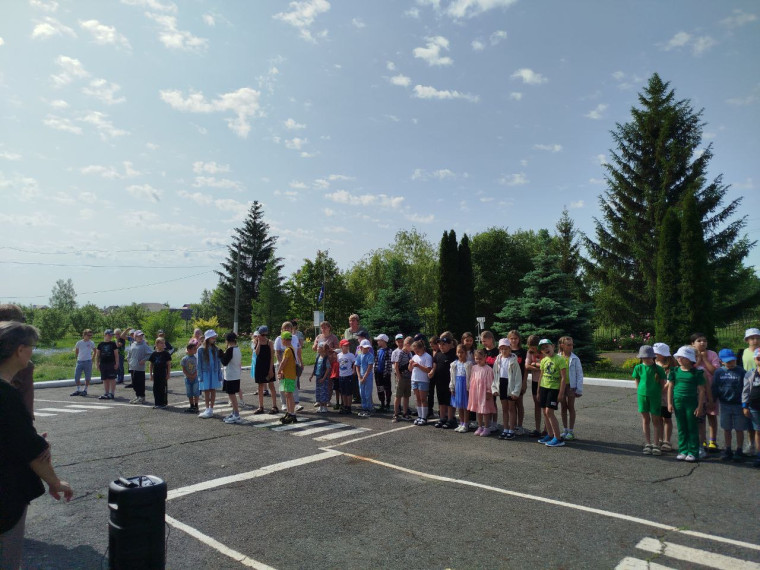 Отдыхаем в "Мечте".